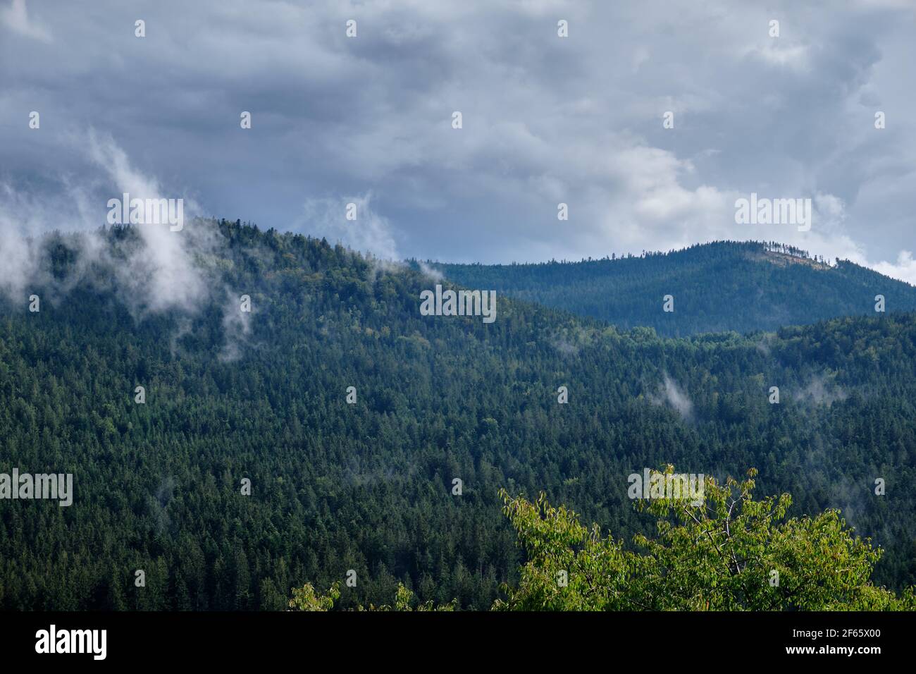Vista sulle montagne boscose della Foresta Bavarese intorno a Frahels - Lam con nuvole grigie che si frappongono alcune piogge estive. Visto in Germania nel mese di agosto. Foto Stock