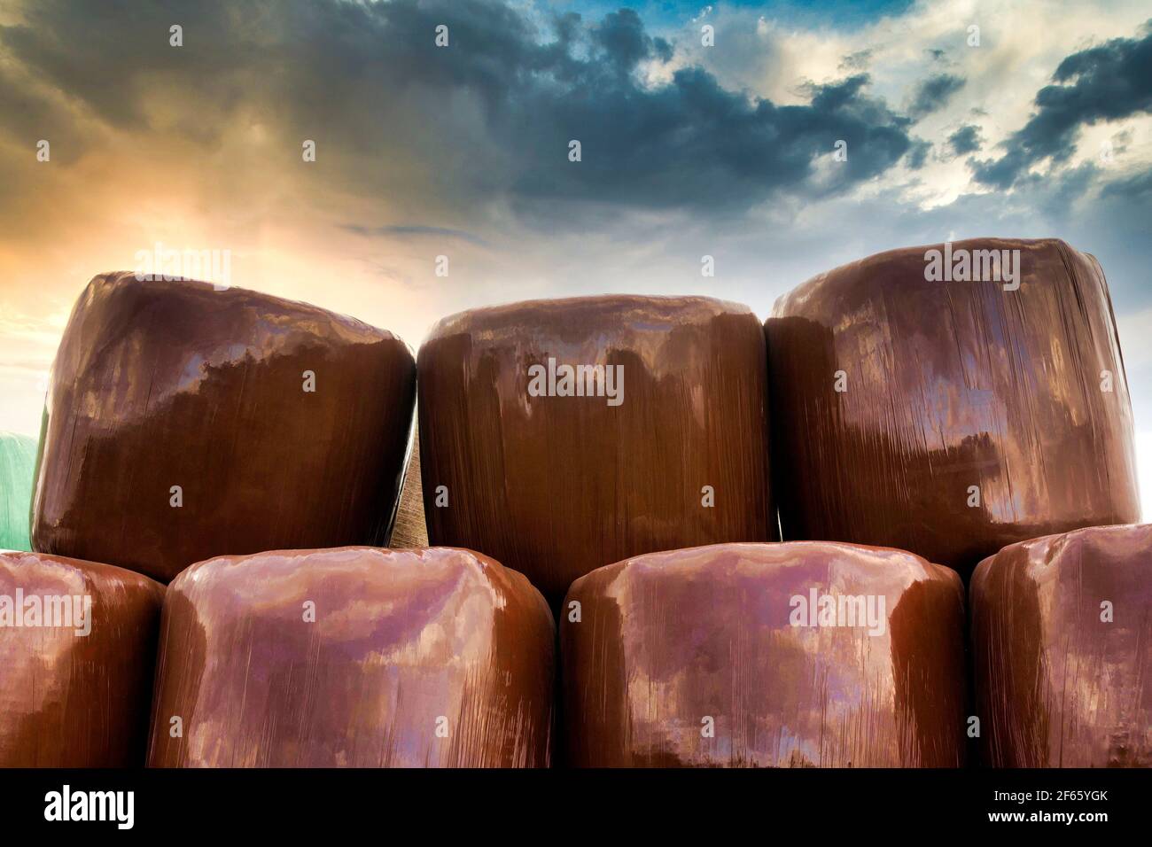 Balle di fieno in sacchi catturati in una giornata di sole in un campo. Auvergne Rhone Alpes. Francia Foto Stock