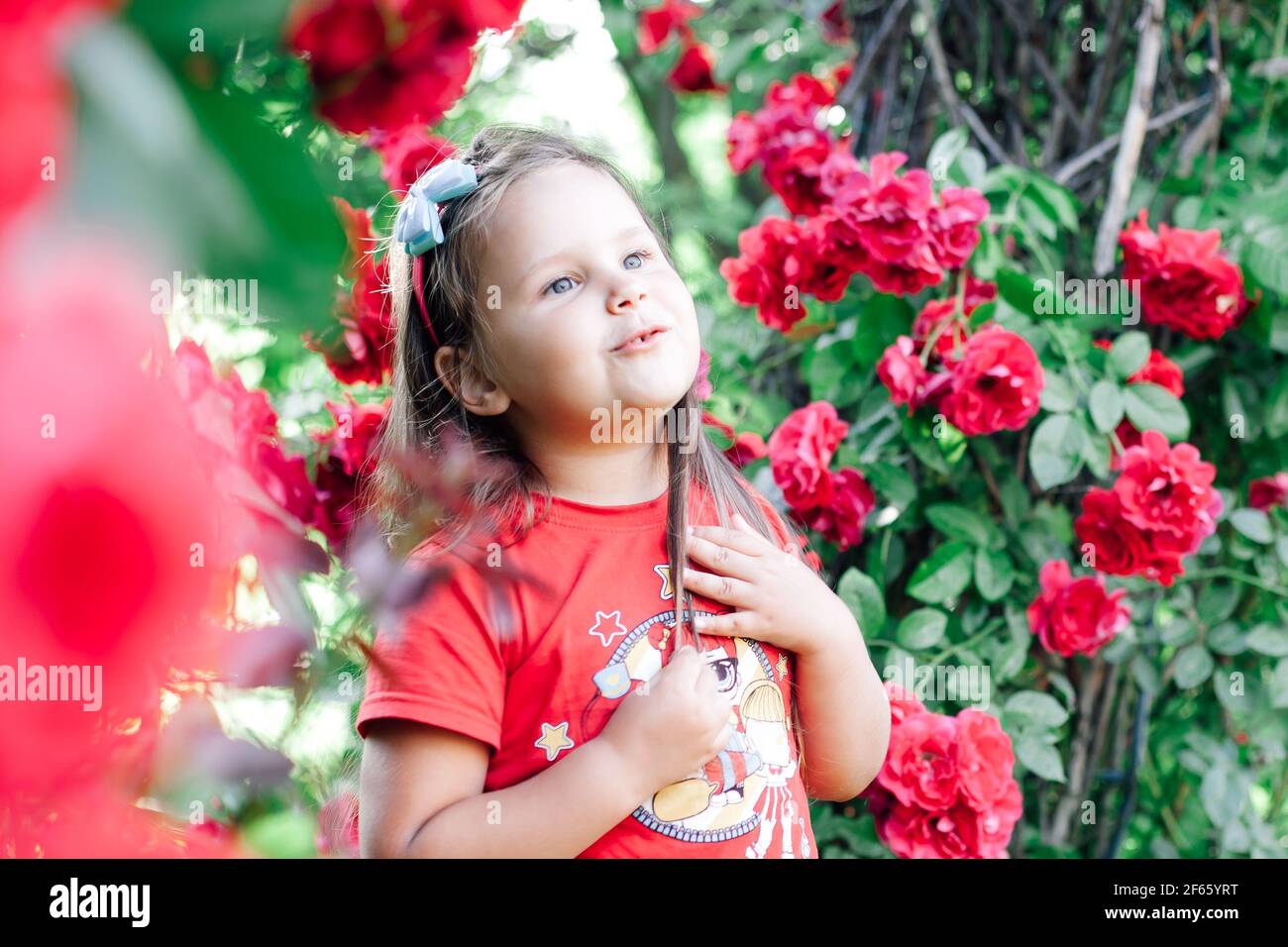 ritratto di una ragazza carina di cinque anni che gioca con i suoi capelli sotto un arco di rose Foto Stock