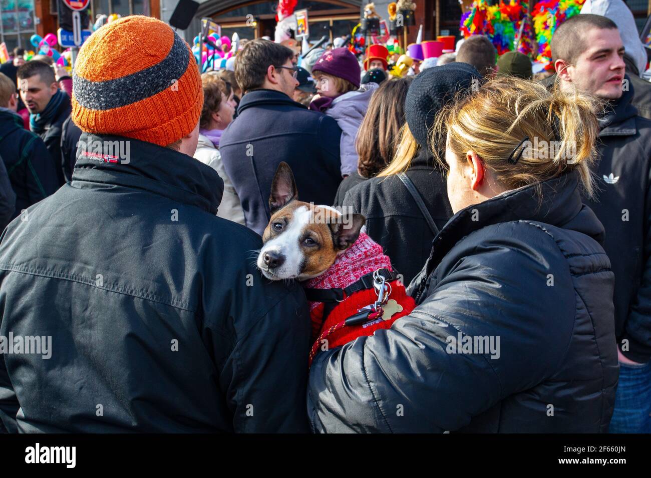 folla e cane Foto Stock