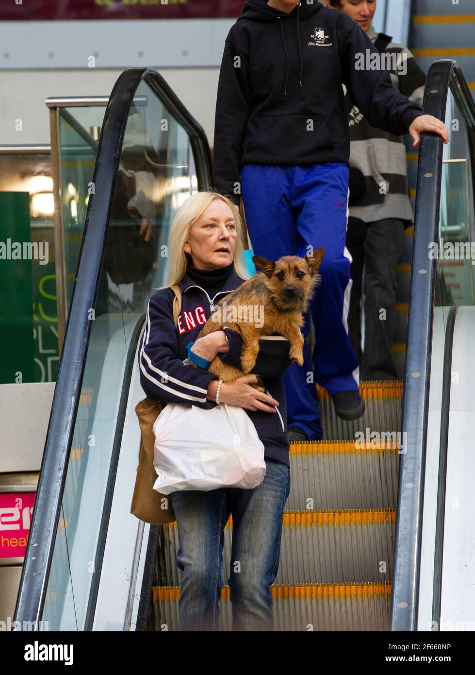 Donna che mantiene il cane Foto Stock
