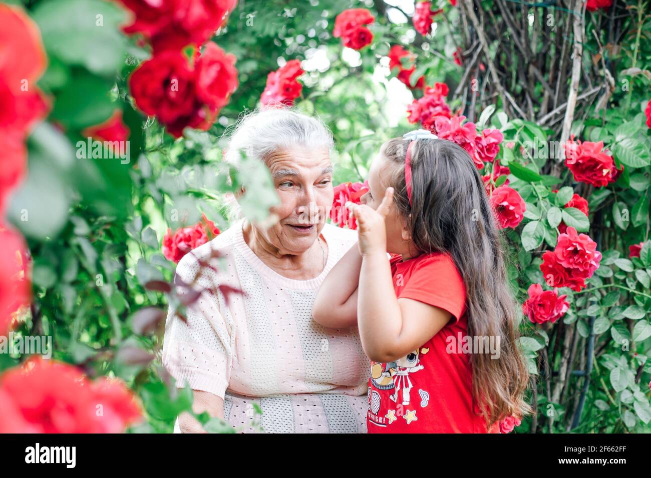 una nonna anziana dai capelli grigi gioca con la sua nipote di cinque anni il giardino sotto un arco di fiori di rosa in estate vacanza Foto Stock