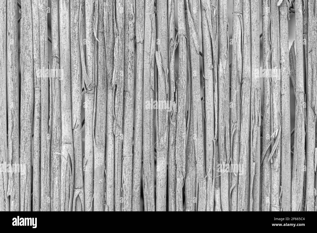 Treccia reed come sfondo astratto. Foto Stock