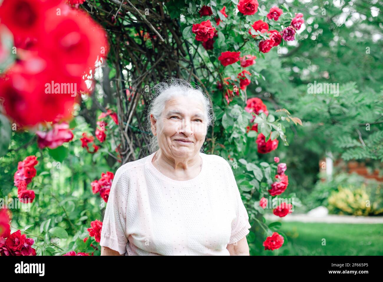 primo piano ritratto di una donna anziana sorridente in un giardino orgoglioso di un bel arco di rose rosse Foto Stock