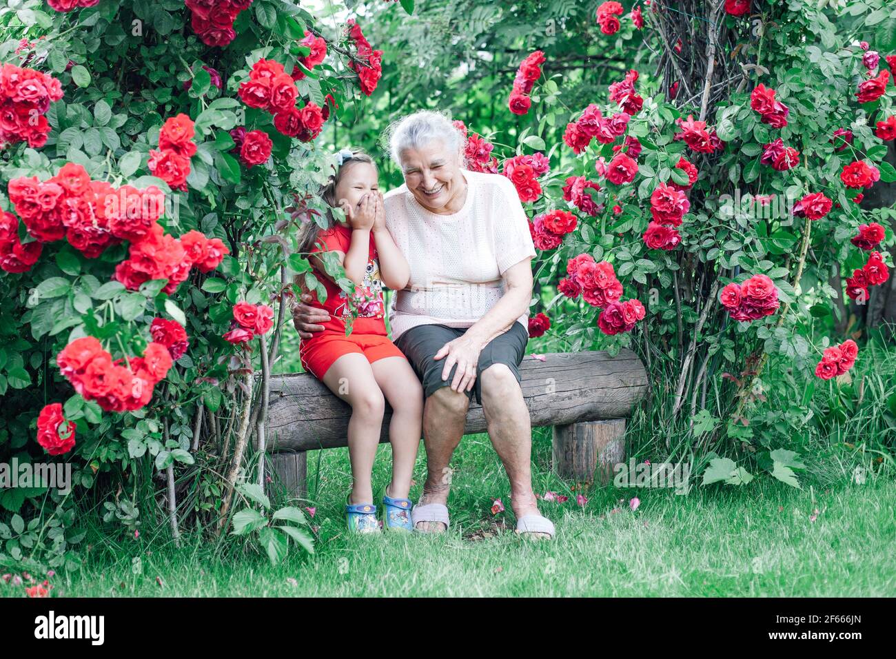 vacanza estiva con una nonna nel villaggio, una donna dai capelli grigi abbraccia e scherza con un bambino su una panchina vicino ai cespugli di rose nel giardino Foto Stock