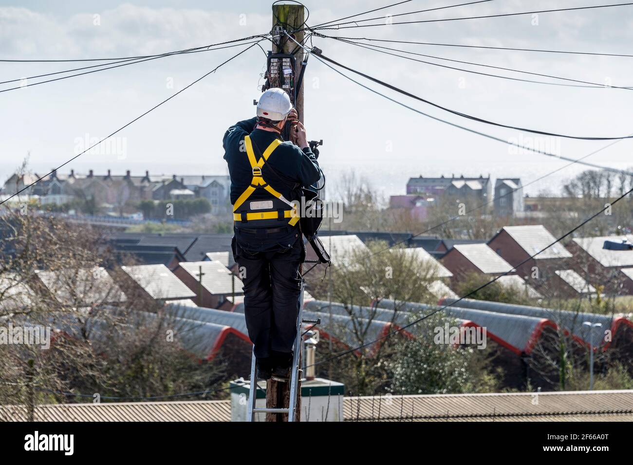 Un tecnico telefonico in piedi su una scala che lavora sulla cima di un palo di telegrafo. È una giornata di sole e al di là di lui i tetti si ritrovano in lontananza. Foto Stock