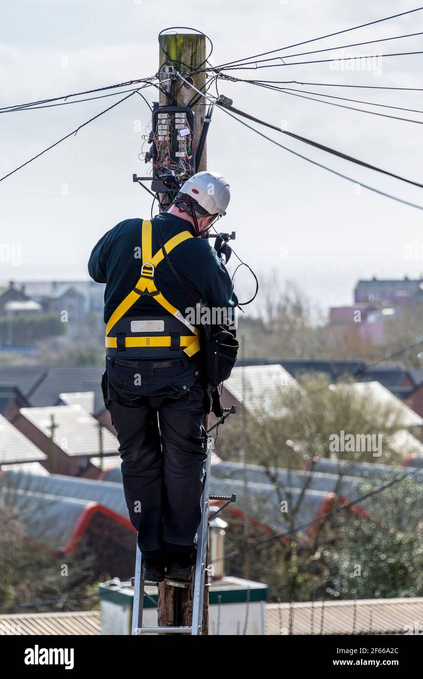 Un tecnico telefonico in piedi su una scala che lavora sulla cima di un palo di telegrafo. È una giornata di sole e al di là di lui i tetti si ritrovano in lontananza. Foto Stock