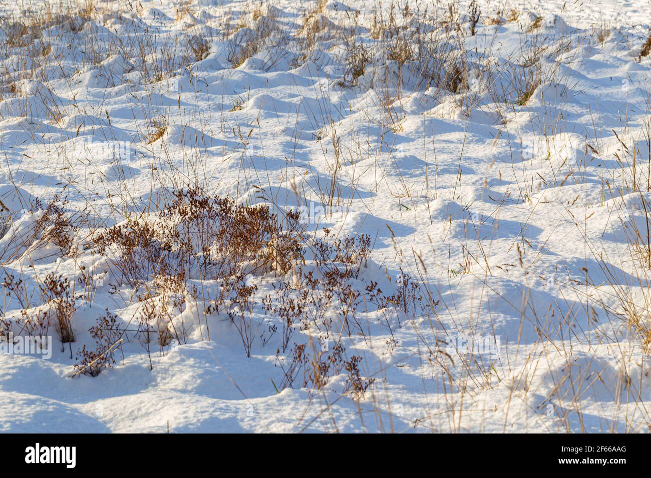 Paesaggio invernale con neve bianca Foto Stock