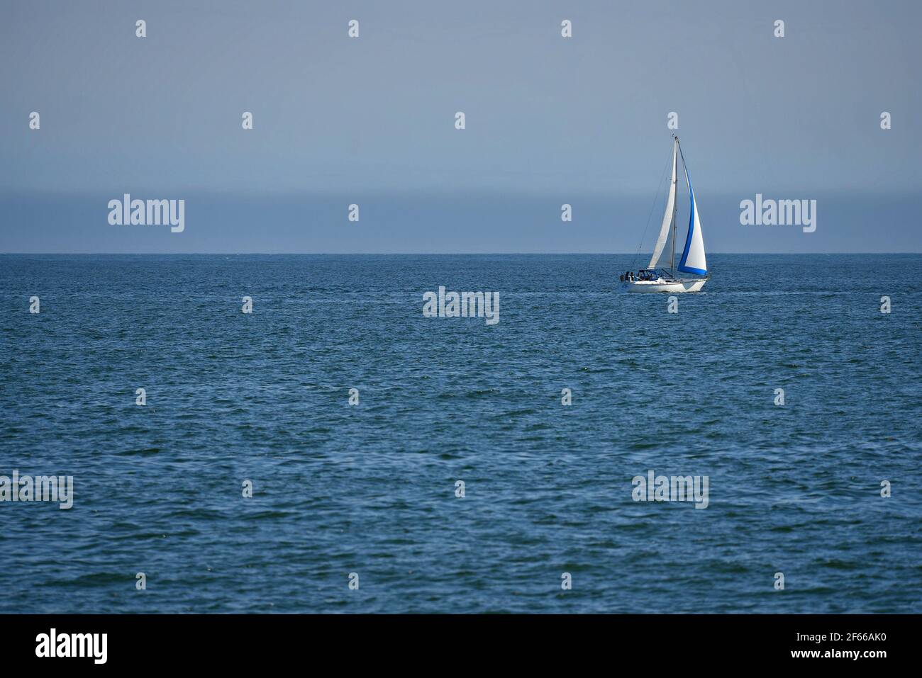 Paesaggio con una barca a vela sulle acque di Santa Cruz in California, Stati Uniti. Foto Stock