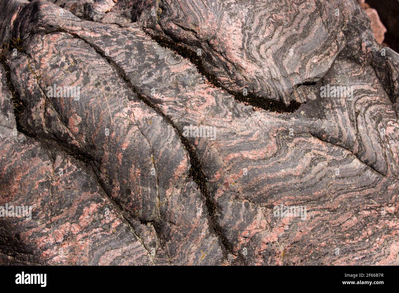 Primo piano di una sezione di gneiss Lewisian di colore grigio, esposta in un affioramento sulle rive del Loch Ness nelle Highlands scozzesi del nord del Regno Unito Foto Stock