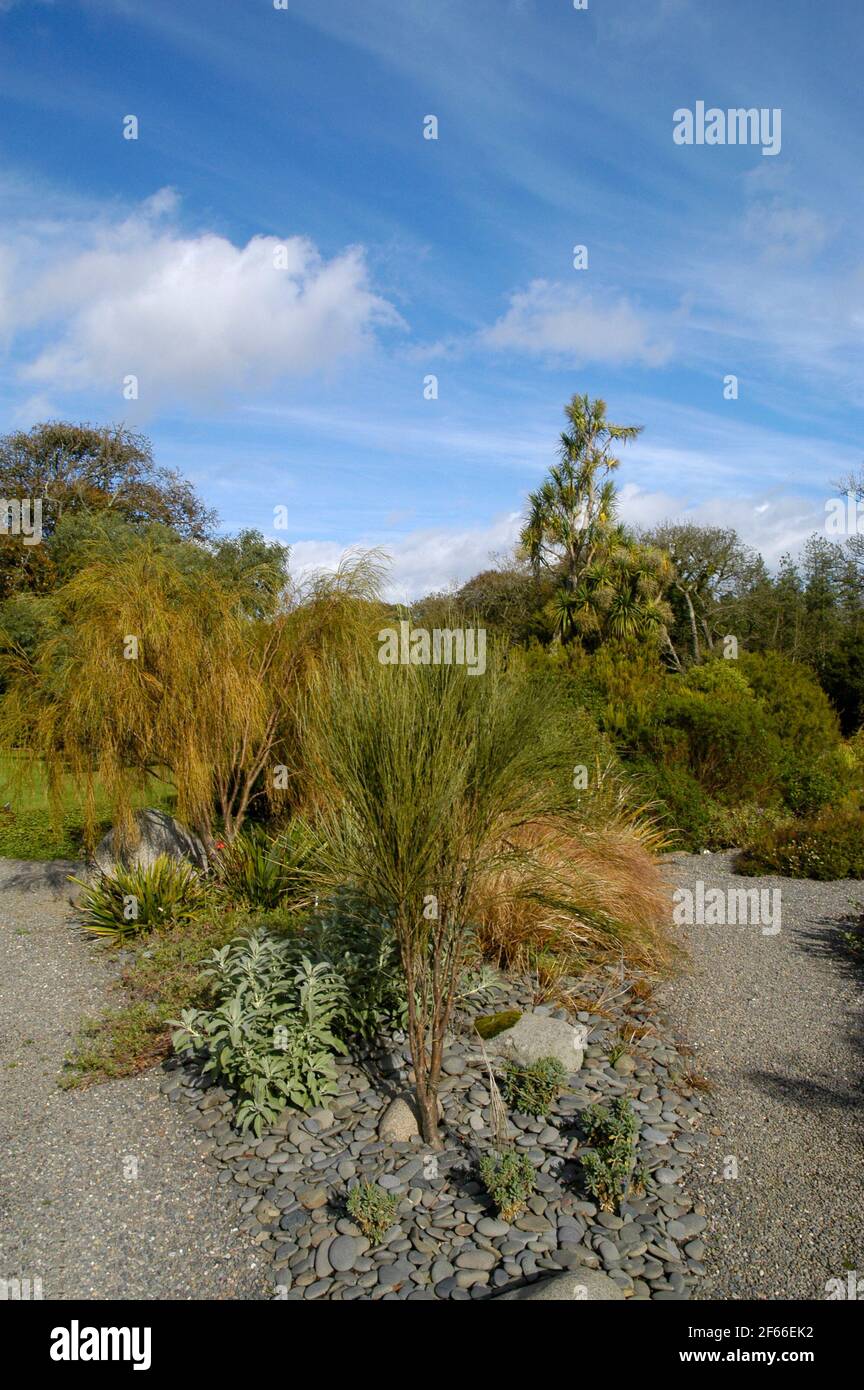 Parco con un giardino resistente alla siccità, Scozia Foto Stock