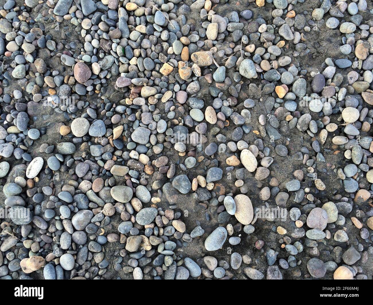 Sfondo di pietre di mare nella sabbia. Foto Stock
