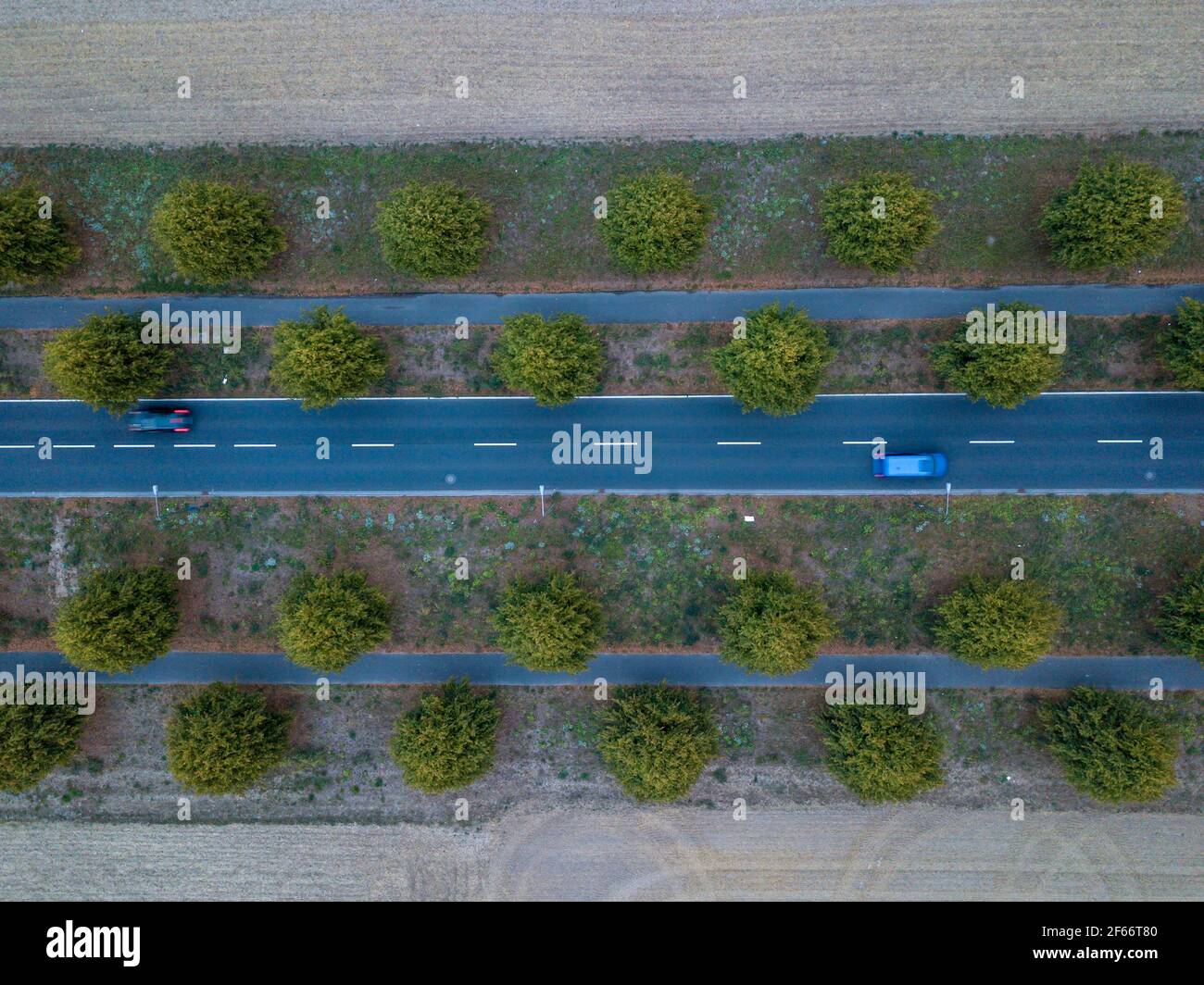 Strada con auto che passano con due corsie e grandi alberi e pista ciclabile dall'alto verso il basso alla luce del giorno. Foto Stock