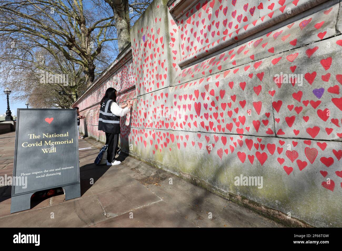 Londra, Regno Unito. 30 Marzo 2021. Hearts of the National Covid Memorial disegnato dagli amici e dalla famiglia in lutto di Covid-19 sul lungofiume del Tamigi di fronte alle Camere del Parlamento. Il primo di circa 150,000 cuori che saranno disegnati su diverse centinaia di metri del muro al di fuori del St. Thomas' Hospital di Londra, dove Boris Johnson è stato ammesso a contratto Covid l'anno scorso. Credit: Paul Brown/Alamy Live News Foto Stock
