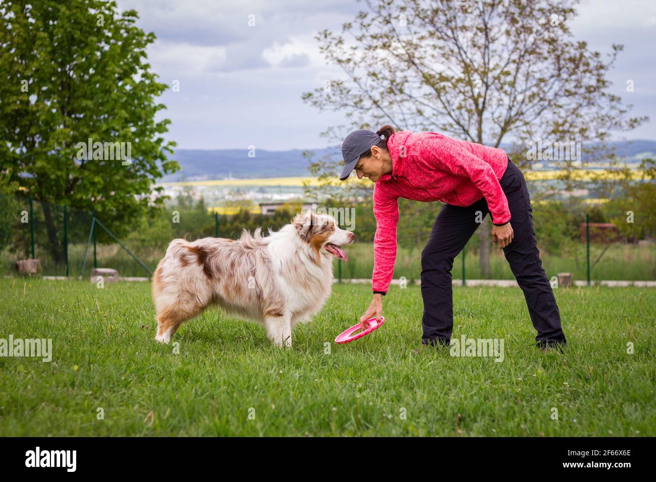 Donna e il suo cane che si allenano all'aperto. Il proprietario del PET gioca con il suo pastore australiano Foto Stock