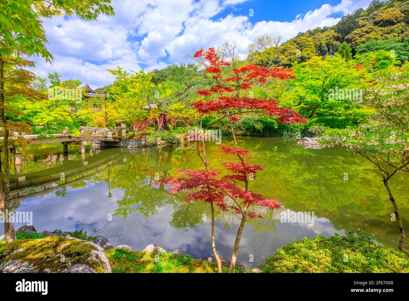 acero in Eikando Foto Stock