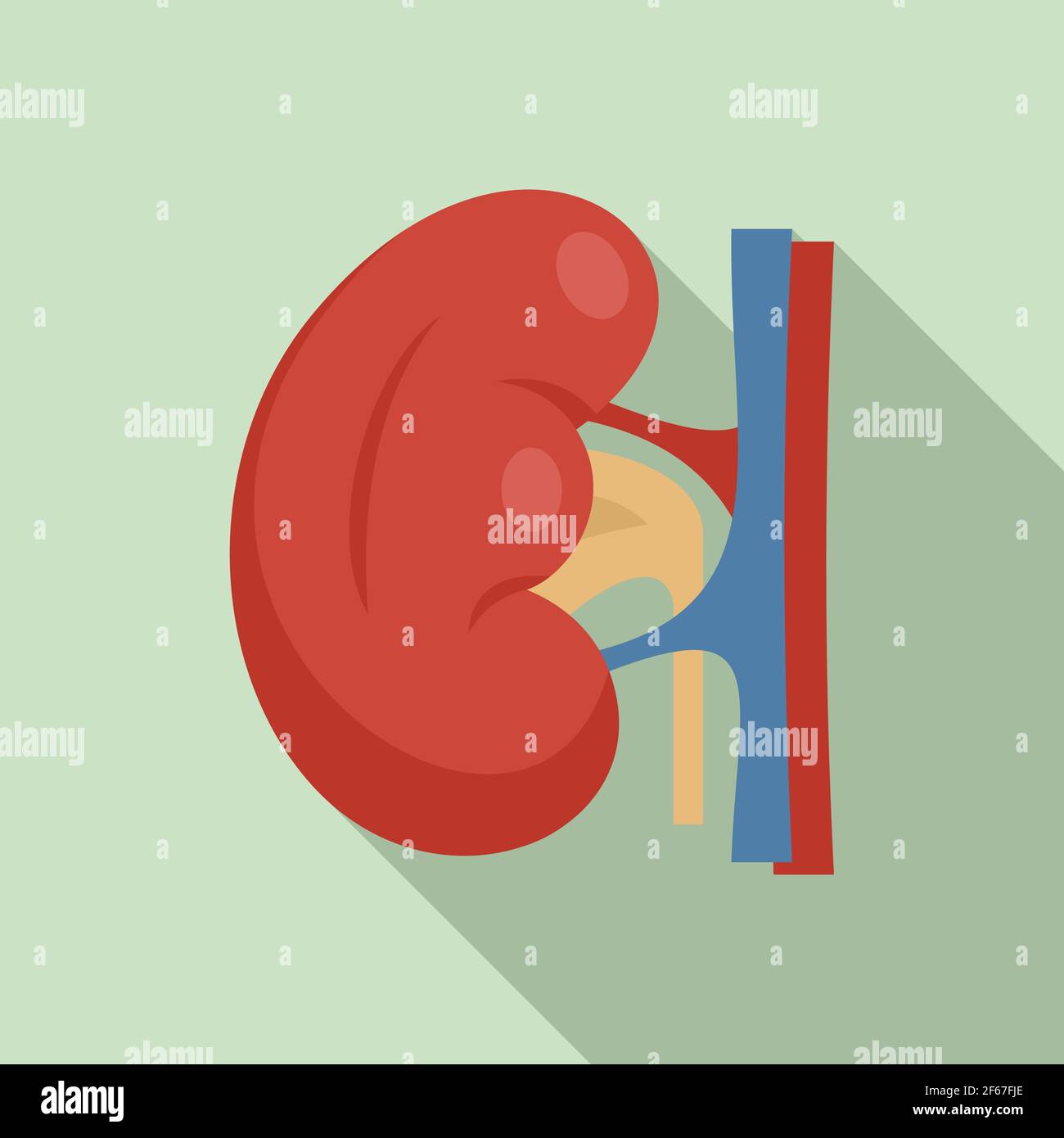 Icona del rene del corpo, stile piatto Illustrazione Vettoriale