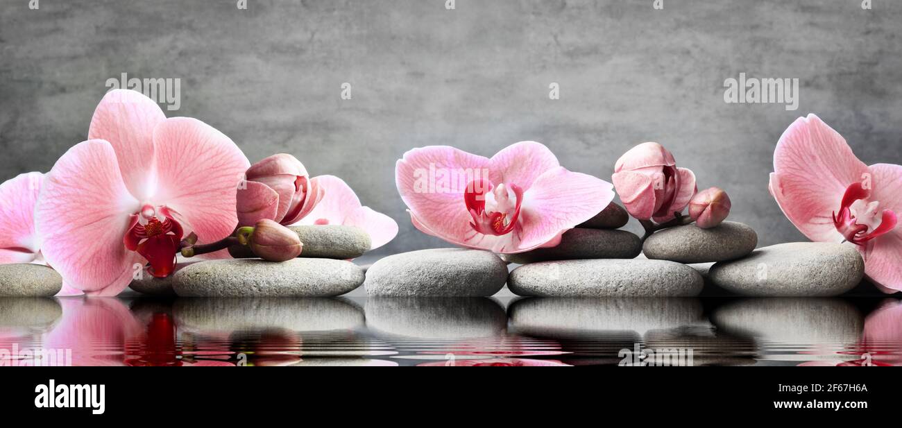 Set di pietre rosa orchidee e grigie spa su acqua e riflessione. Concetto di Spa. Foto Stock