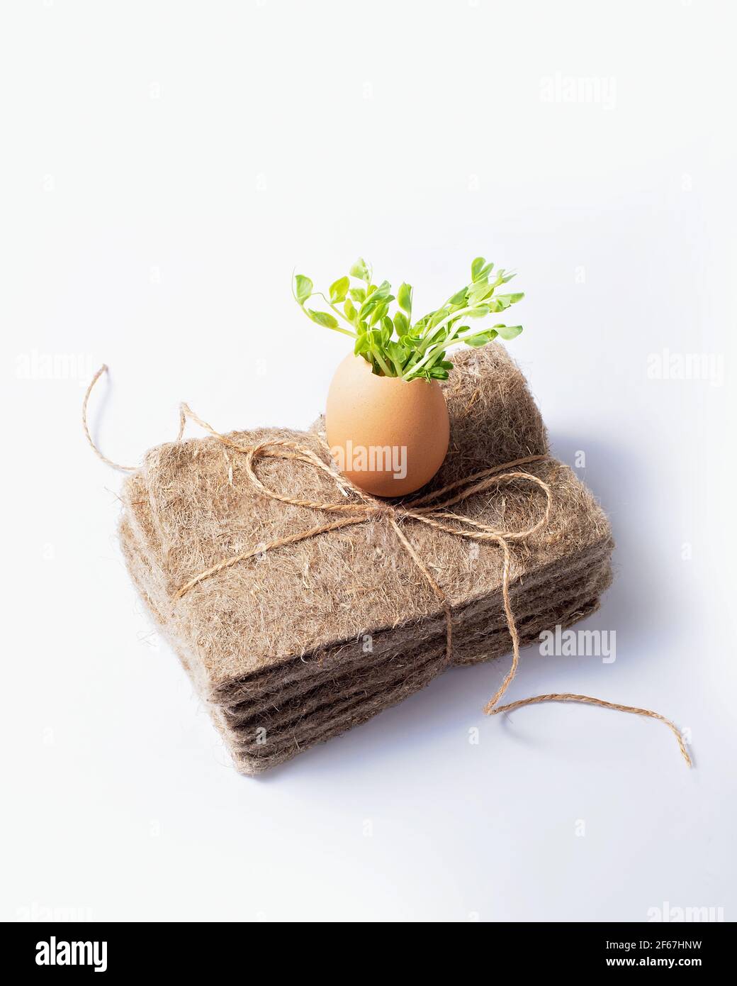 Confezioni di tovagliette di lino su micrograni bianchi in uovo. Micrgreens che piantano business. Base naturale per piante crescenti. Vitamine dalla natura. Vegan A. Foto Stock