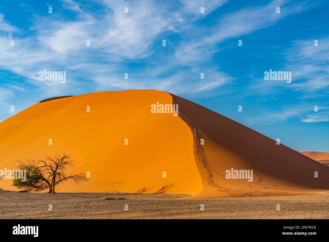 Dune 45 del deserto del Namib a Sossusvlei al mattino, sfondo cielo blu con belle nuvole, Namib Naukluft Rand, Namibia. Foto Stock