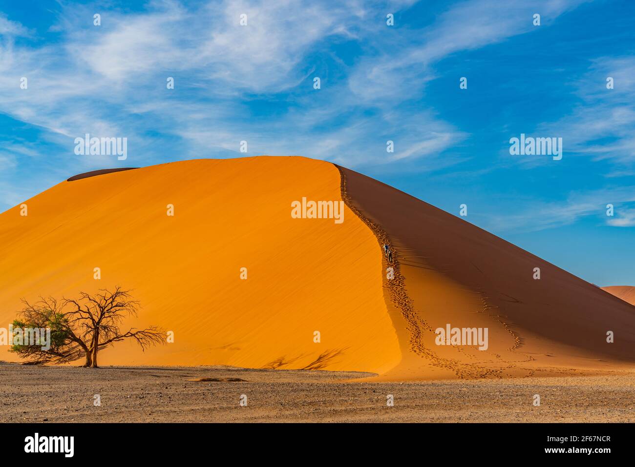 Dune 45 del deserto del Namib a Sossusvlei al mattino, sfondo cielo blu con belle nuvole, Namib Naukluft Rand, Namibia. Foto Stock