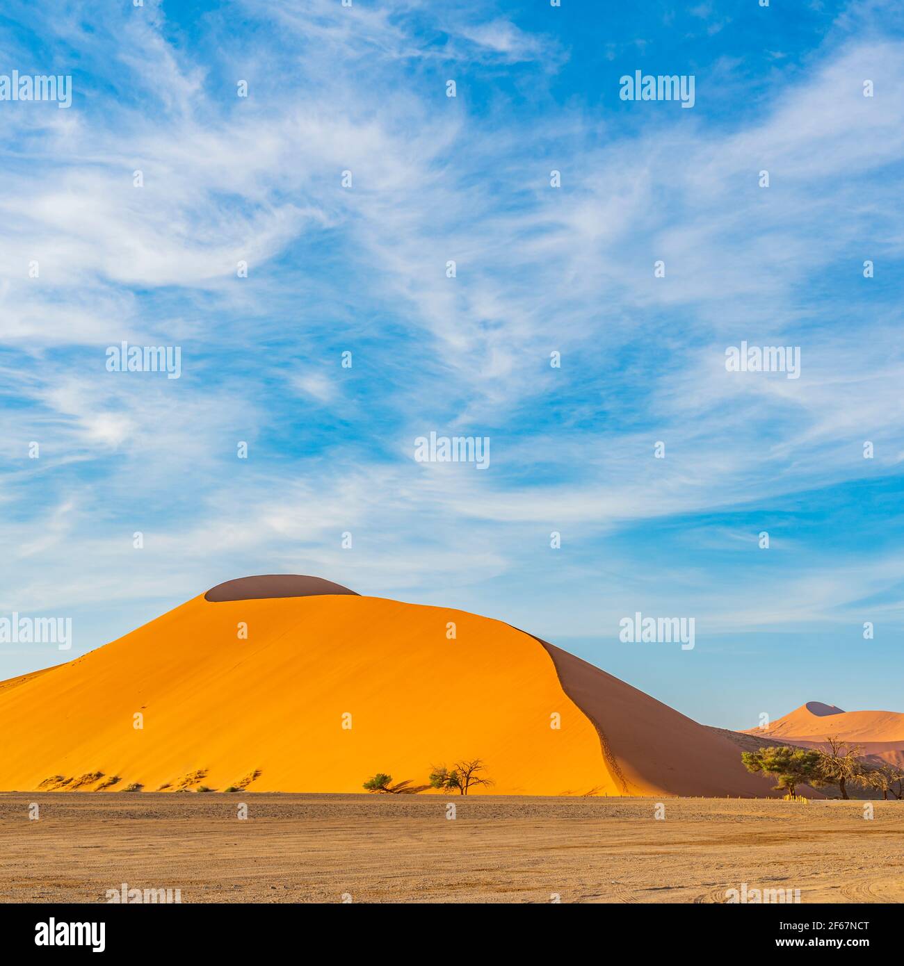 Golden color of Dunes 45 del deserto del Namib a Sossusvlei al mattino, sfondo blu cielo con belle nuvole, Namib Naukluft Rand, Namibia. Foto Stock