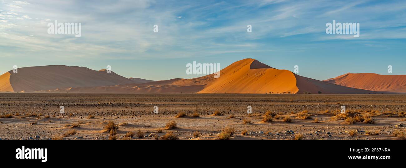 Panorama dalle dune del deserto del Namib a Sossusvlei al mattino, cielo blu di sfondo con belle nuvole, Namib Naukluft Rand, Namibia. Foto Stock