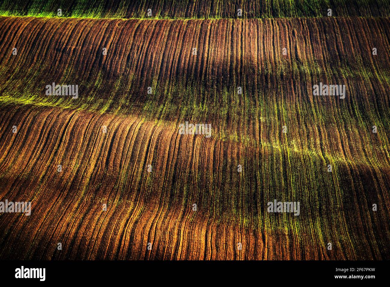 Paesaggio astratto con campi agricoli Foto Stock