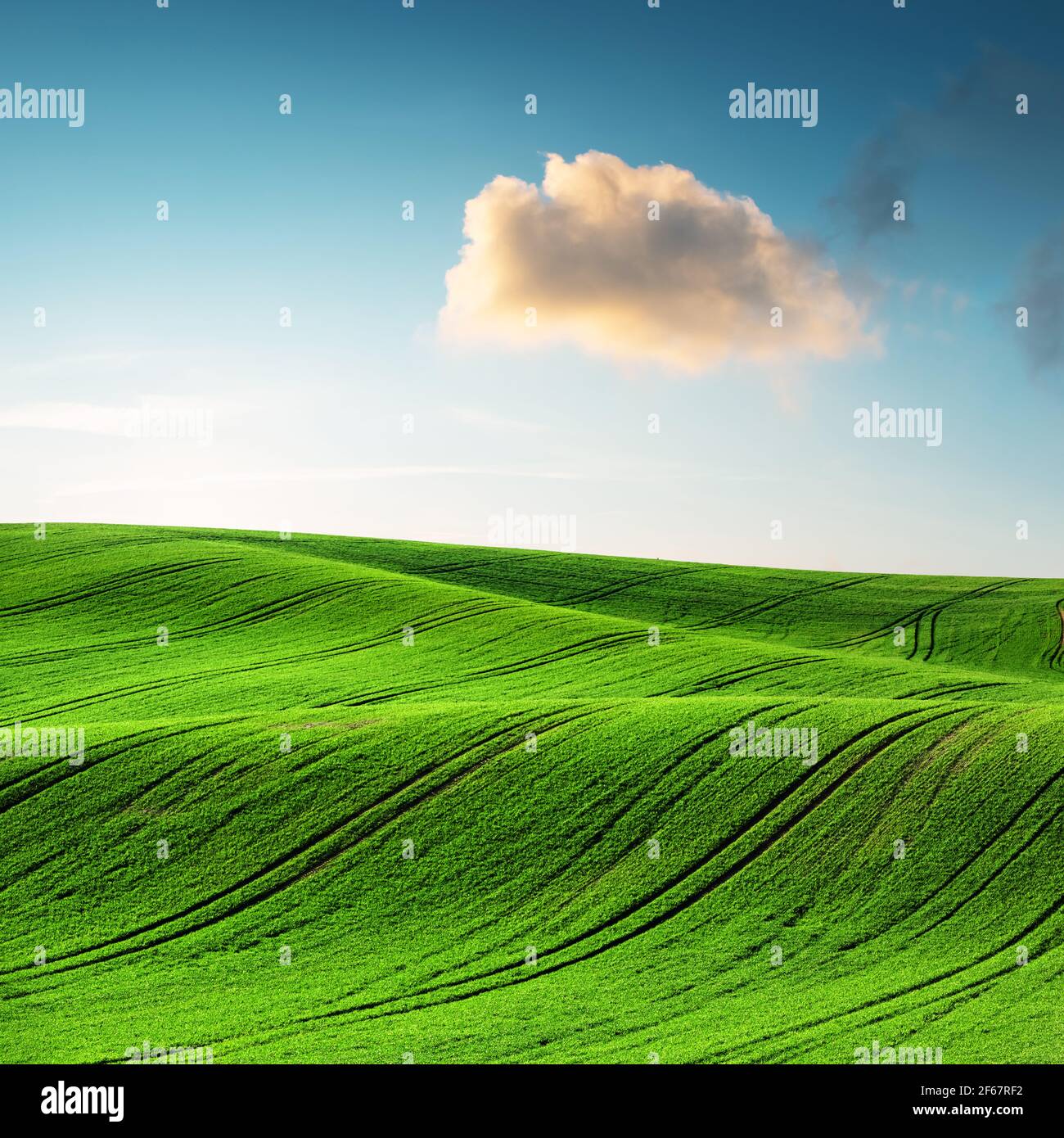 Paesaggio rurale astratto con campi agricoli Foto Stock