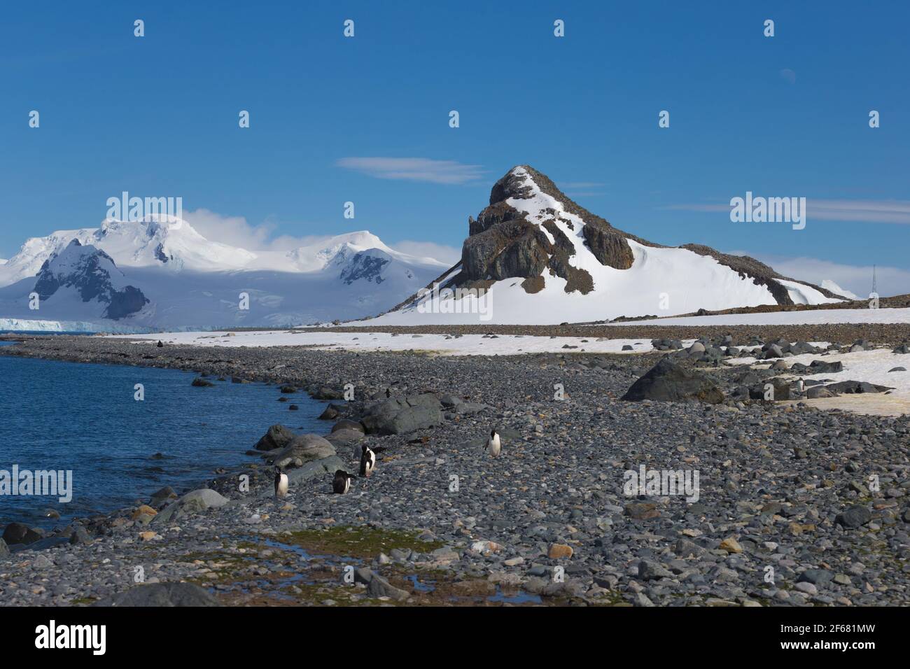 Litorale con pietre e ghiaccio, laguna di mare con montagne con colonia di pinguino Chinstrap antartide. Isola di Mezza Luna, Antartide. Viaggi estremi Foto Stock