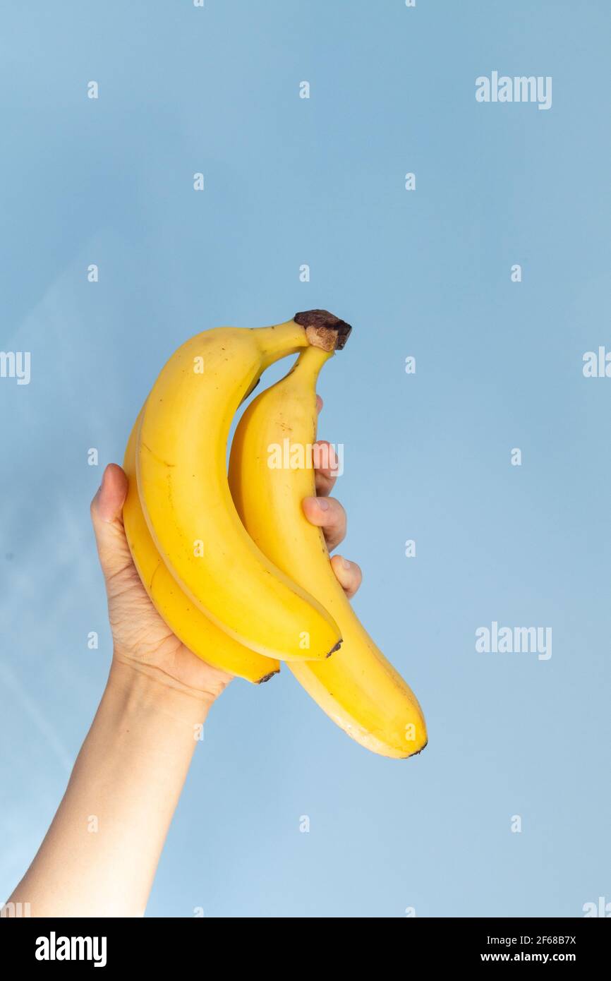 Mano che tiene un ramo di banana contro sfondo blu, stile di vita sano Foto Stock