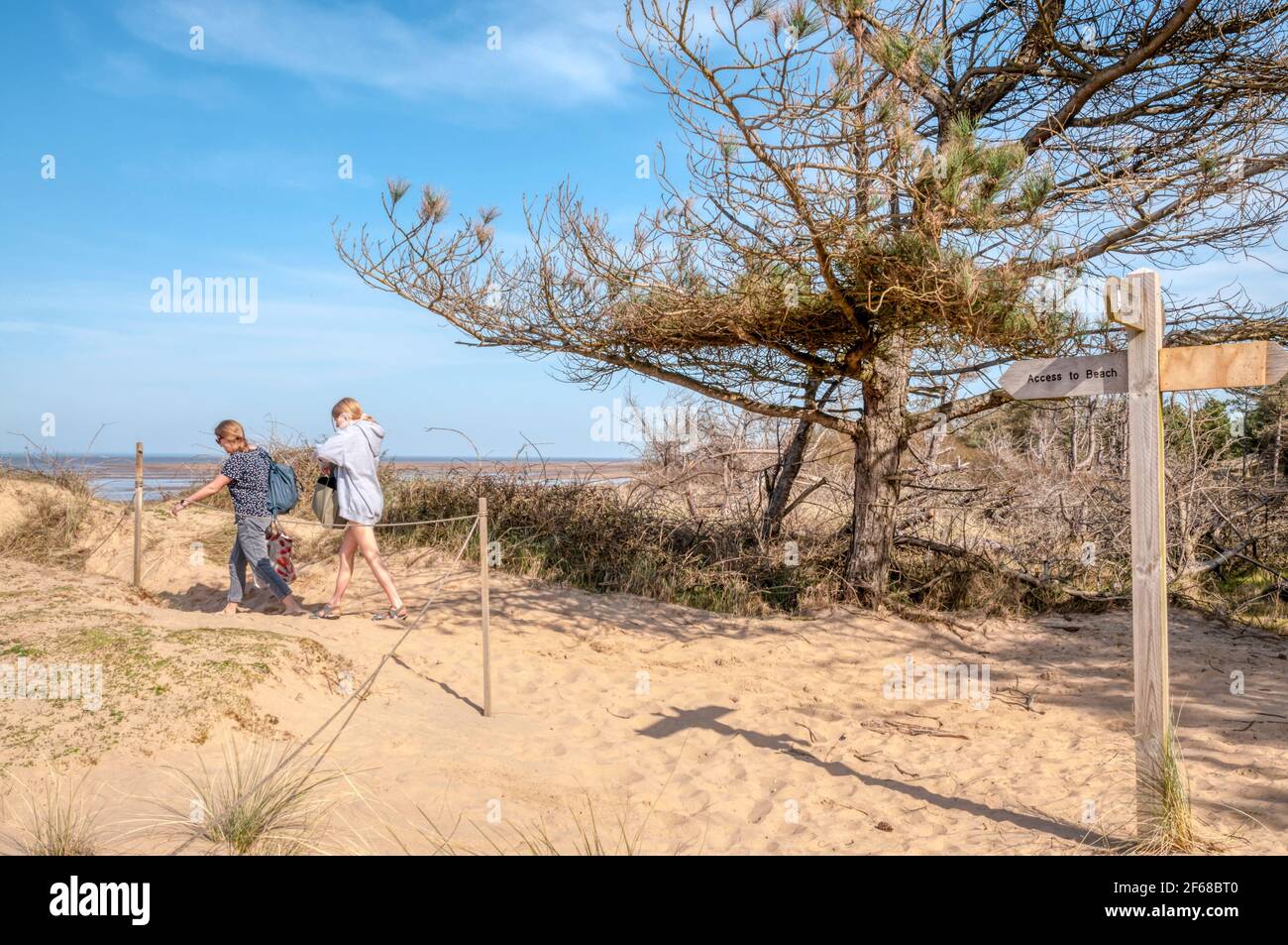 Persone che seguono il percorso attraverso le dune di sabbia fino alla spiaggia di Holme-next-the-Sea sulla costa nord del Norfolk. Foto Stock