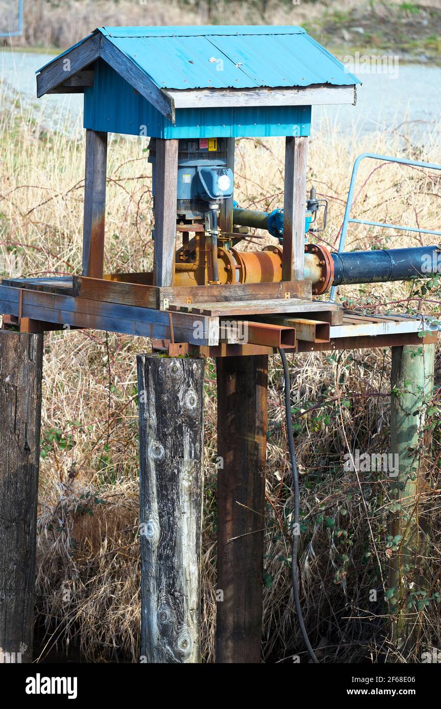 Pompa dell'acqua per l'irrigazione del campo del mirtillo. Pitt Meadows, B. C., Canada. Foto di scorta. Foto Stock