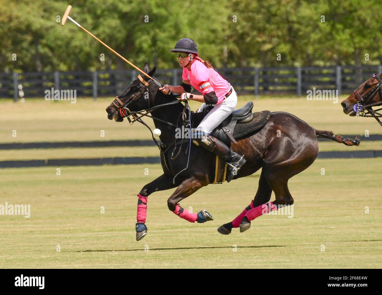 DUNDAS VS ICONICA 2021 CAMPIONATI DI POLO FEMMINILE, tenuti a Port Mayaca, Florida, 10 marzo 2021. Team Dundas: Nina Clarkin, Hope Arelano, Sarah Siegel Magness Foto di Jennifer Graylock-Graylock.com 917-519-7666 Foto Stock