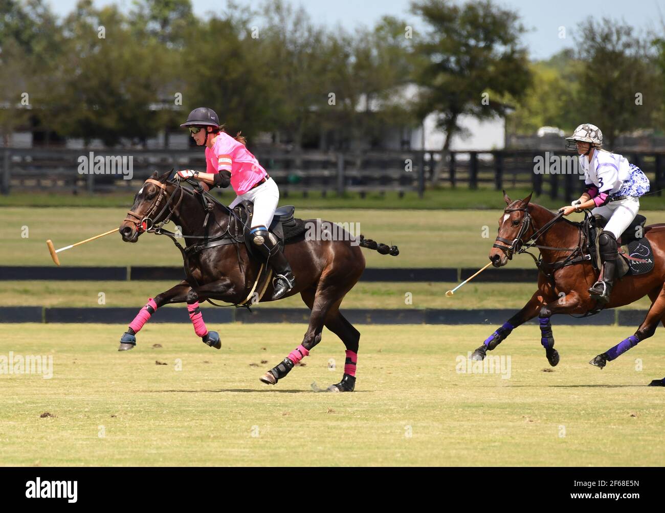 DUNDAS VS ICONICA 2021 CAMPIONATI DI POLO FEMMINILE, tenuti a Port Mayaca, Florida, 10 marzo 2021. Team Dundas: Nina Clarkin, Hope Arelano, Sarah Siegel Magness Foto di Jennifer Graylock-Graylock.com 917-519-7666 Foto Stock