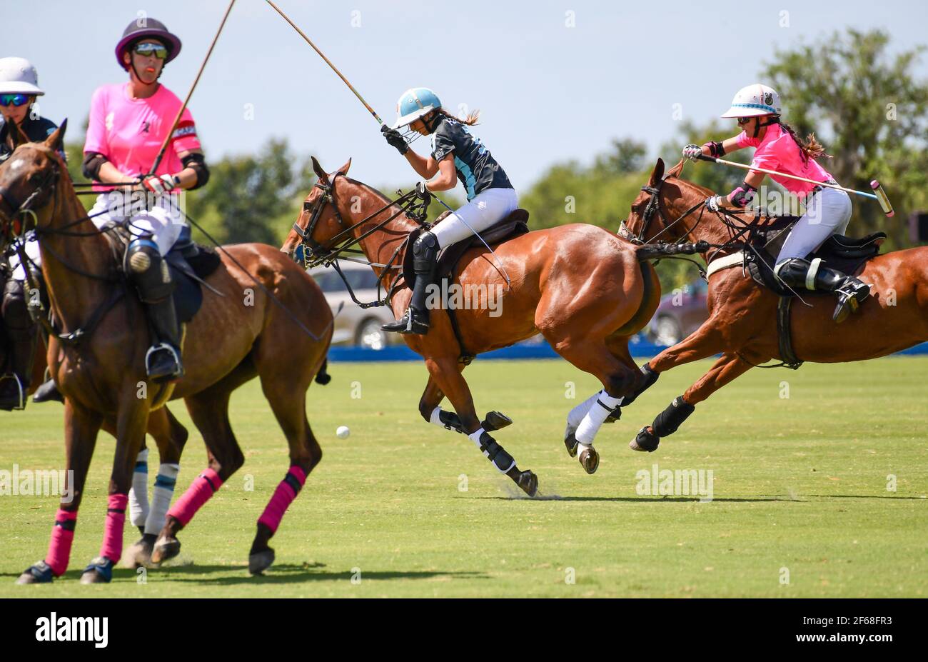 DUNDAS VS HAWAII POLO LIFE 2021 CAMPIONATI DI POLO FEMMINILE, tenuti a Port Mayaca, Florida, 10 marzo 2021. Team Dundas: Nina Clarkin, Hope Arelano, Sarah Siegel Magness Team Hawaii Polo Life: Delores rete, Pamela Flanagan, mia Cambiaso, Hazel Jackson. Foto di Jennifer Graylock-Graylock.com 917-519-7666 Foto Stock