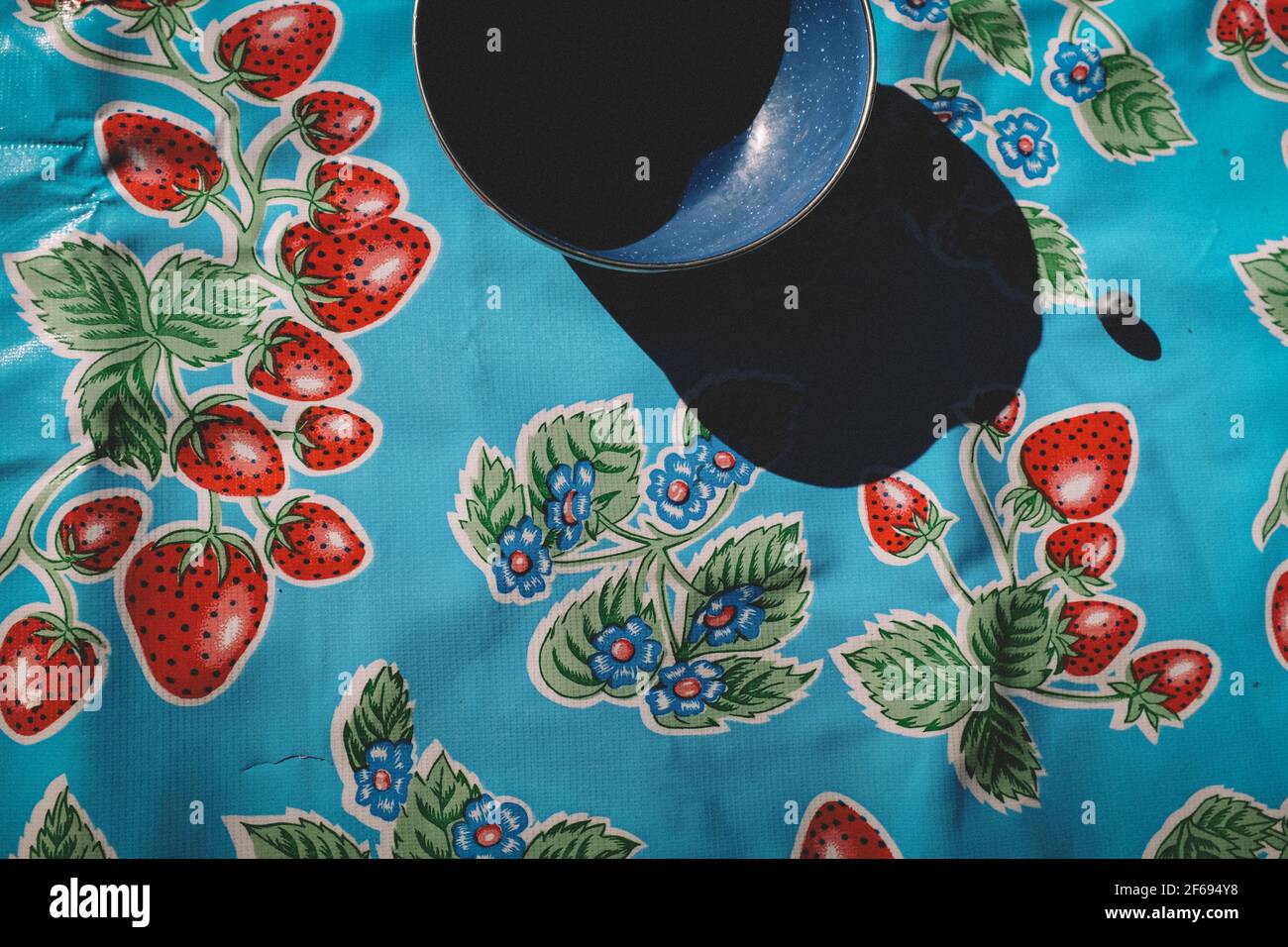 Il mirtillo singolo si siede fuori di una ciotola vuota in luce solare dura Foto Stock