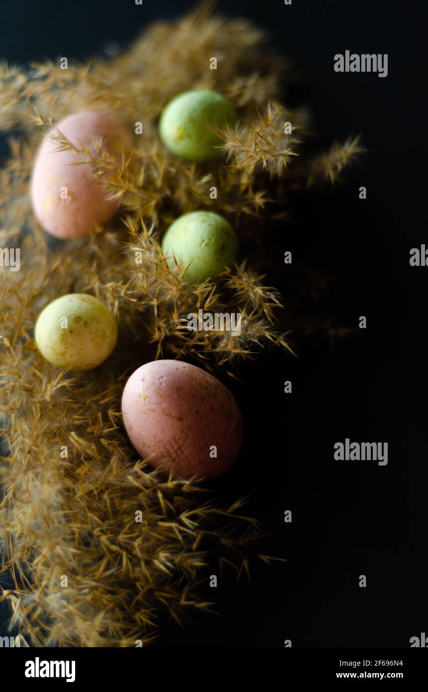 Uova di Pasqua colorate sulle canne, spazio libero Foto Stock