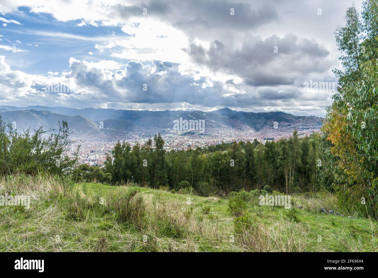 prato con foresta e città vicine Foto Stock