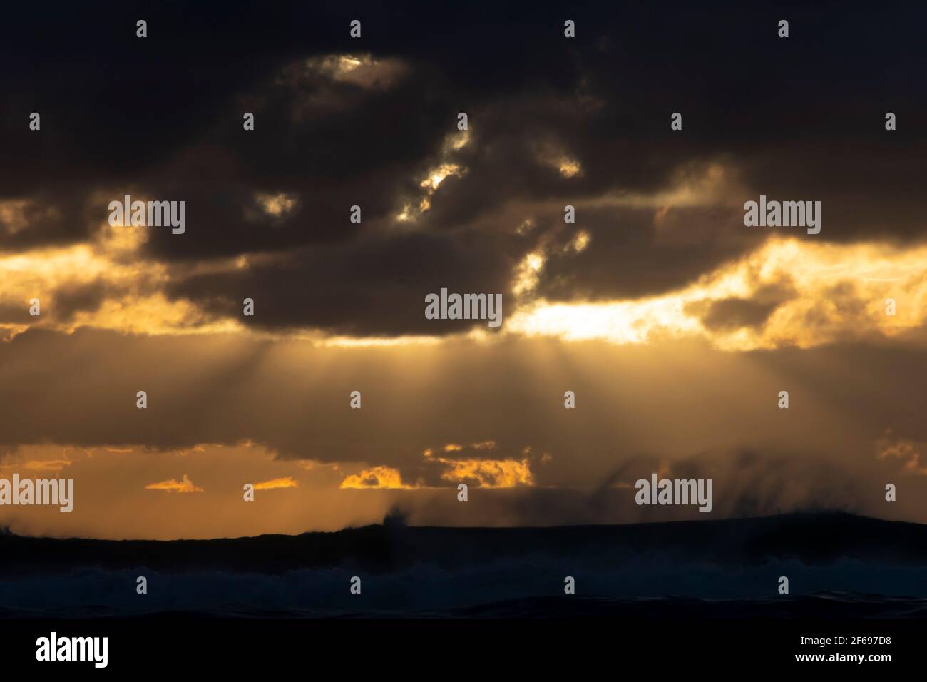 Whakataki, vicino a Castlepoint, Wairarapa, Isola del Nord, Nuova Zelanda Foto Stock