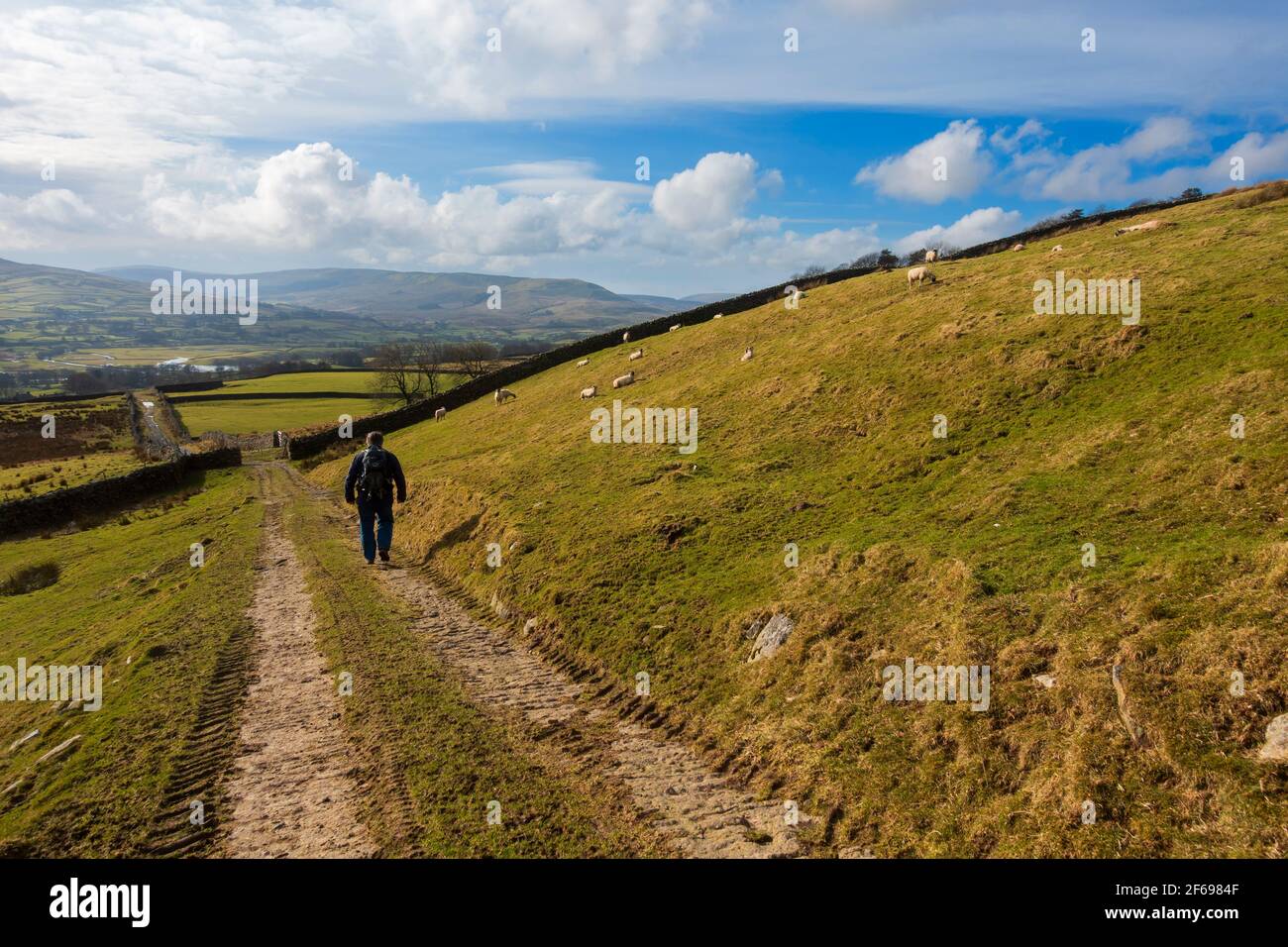 Upper Wensleydale da Askrigg Common, Yorkshire Dales National Park Foto Stock