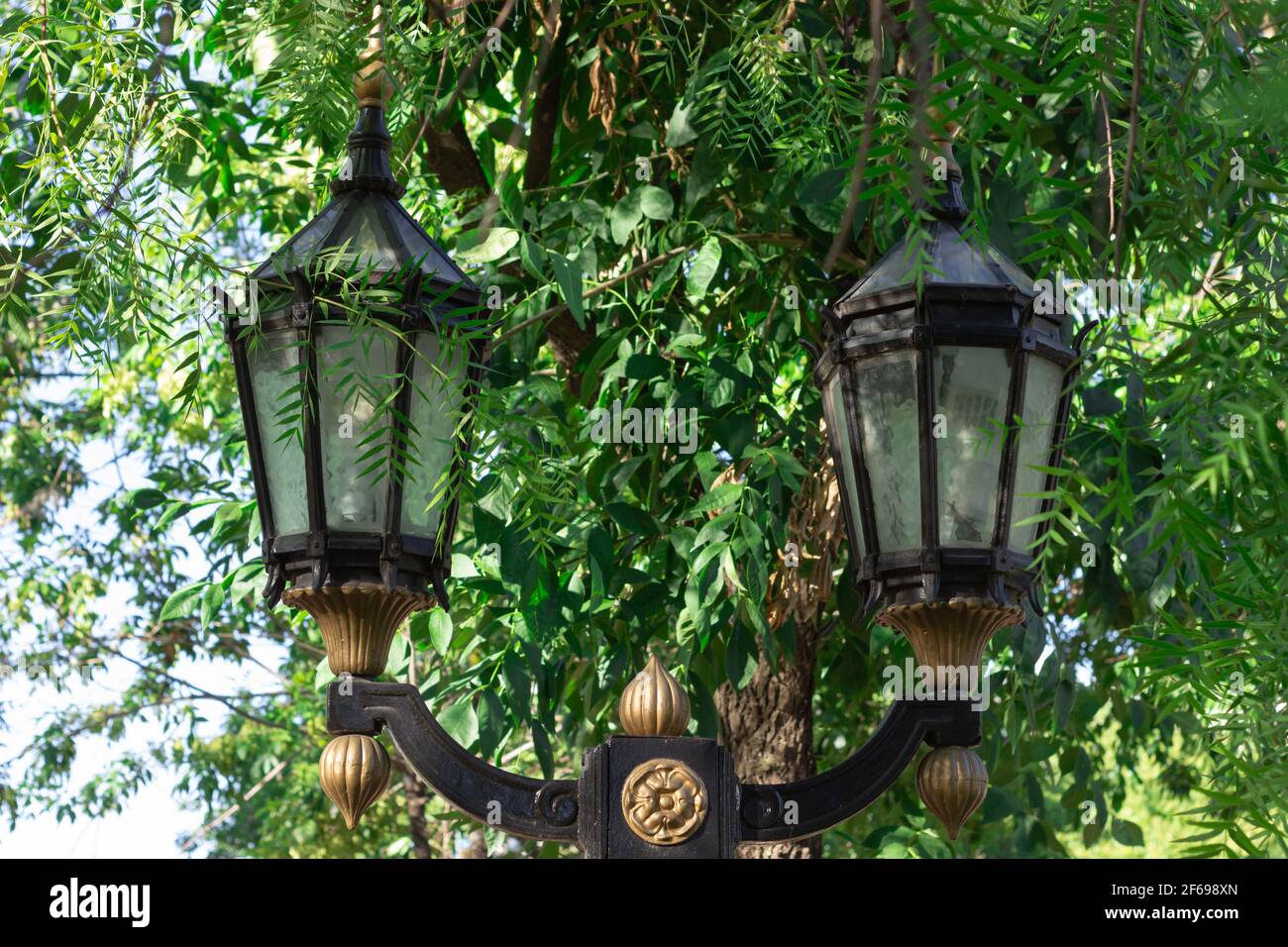 Vecchio lampione nero in un parco cittadino in una giornata di sole. Foto Stock