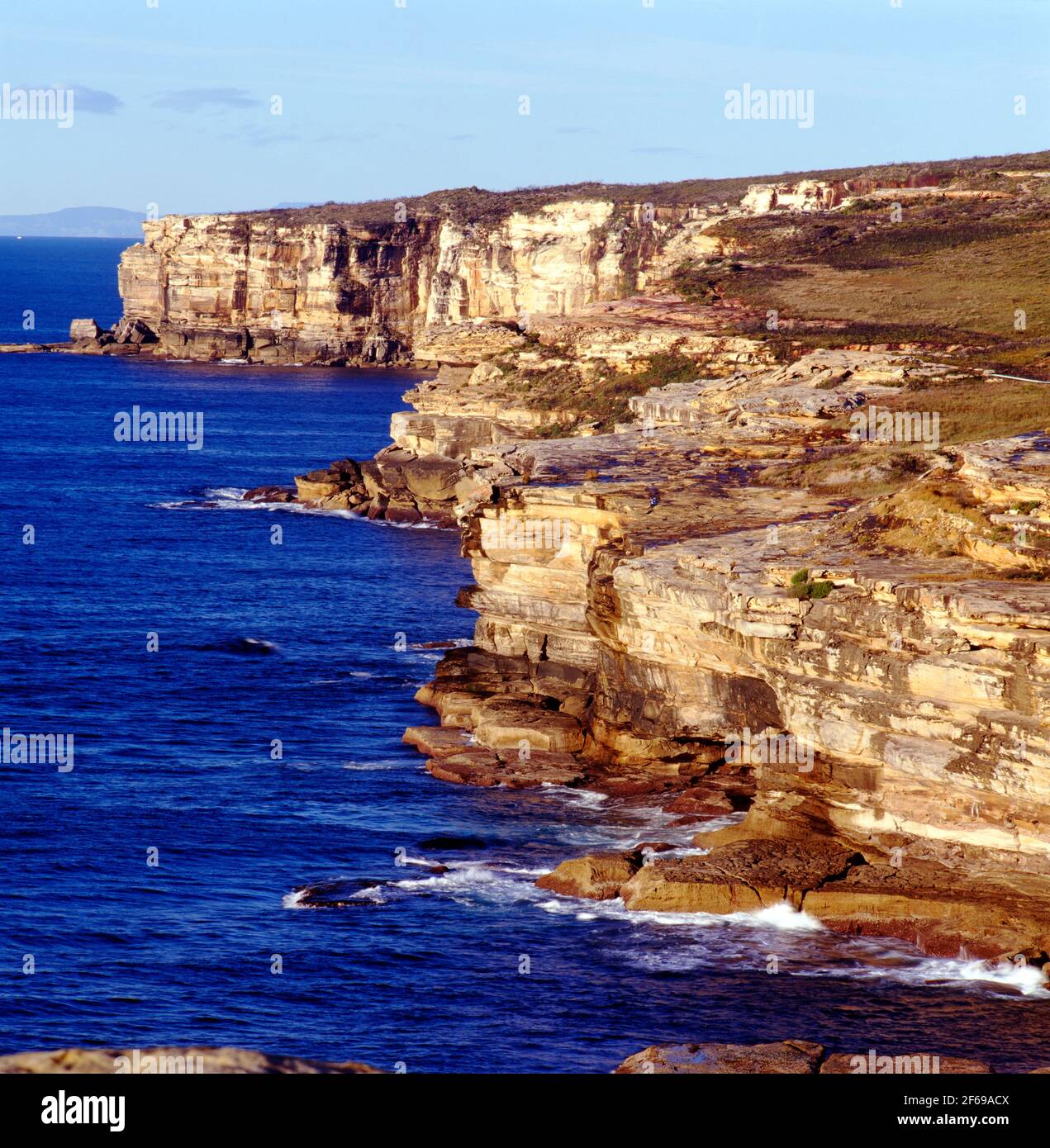 Scogliere di arenaria lungo l'Oceano Pacifico al Royal National Park, New South Wales, Australia Foto Stock