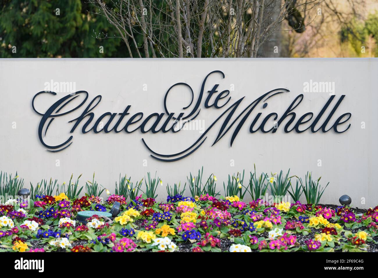 Cartello d'ingresso alla cantina Chateau Ste Michelle a Woodinville Washington state con il nome in copione e fiori di primavera in primo piano Foto Stock