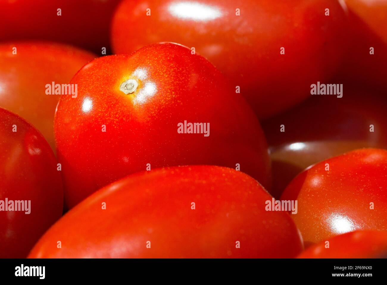 Primo piano immagine di pomodori rossi maturi e vividi in una ciotola in cucina Foto Stock