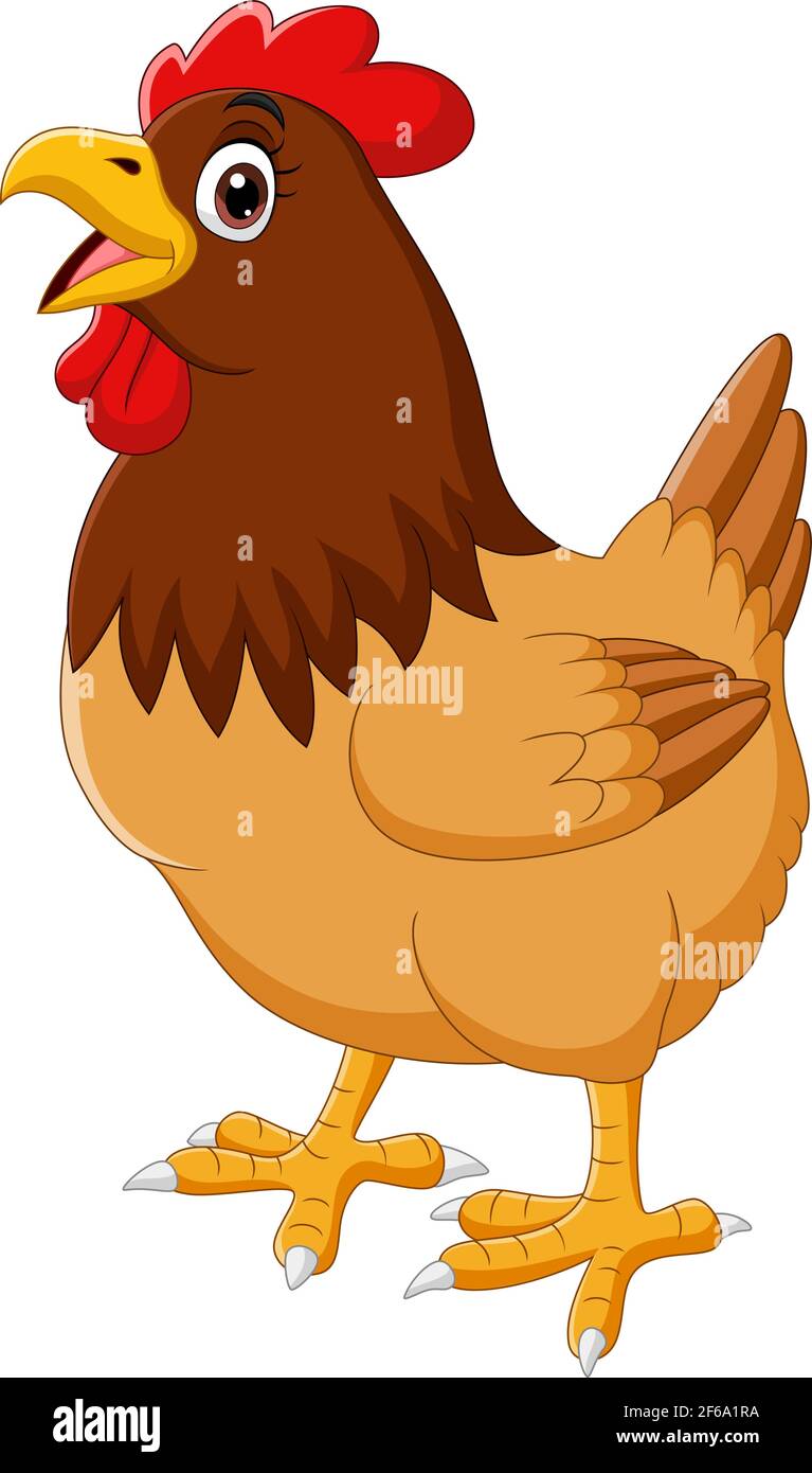 Cartone animato divertente gallina di pollo croving Immagine e Vettoriale -  Alamy