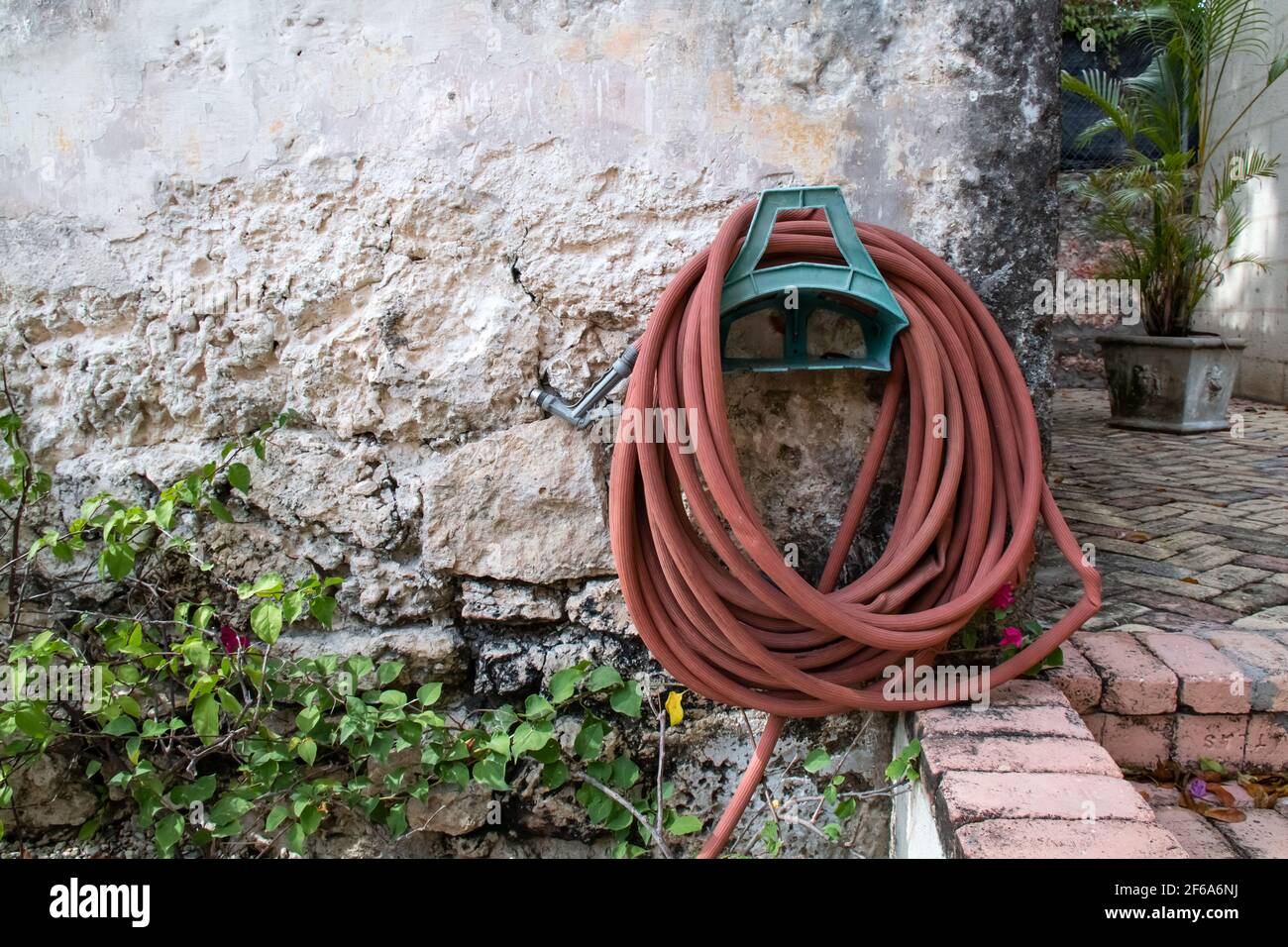 Un avvolto sienna bruciato tubo da giardino di colore arancione contro una vecchia parete coloniale in mattoni a Bridgetown, Barbados, piantatrice di giardino sotto. Vista frontale. Foto Stock