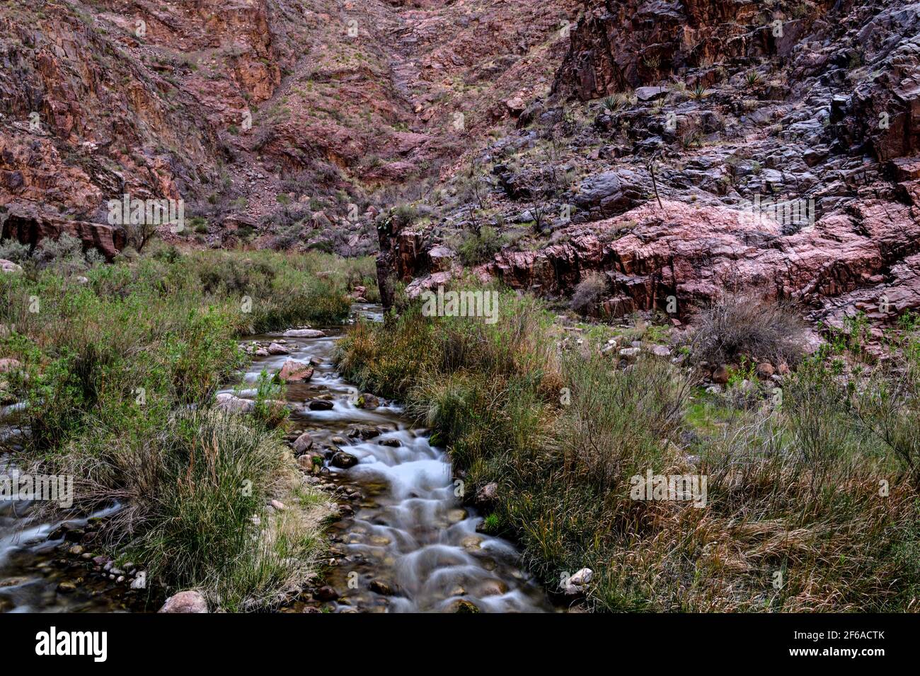 Il Bright Angel Creek e il North Kaibab Trail Foto Stock