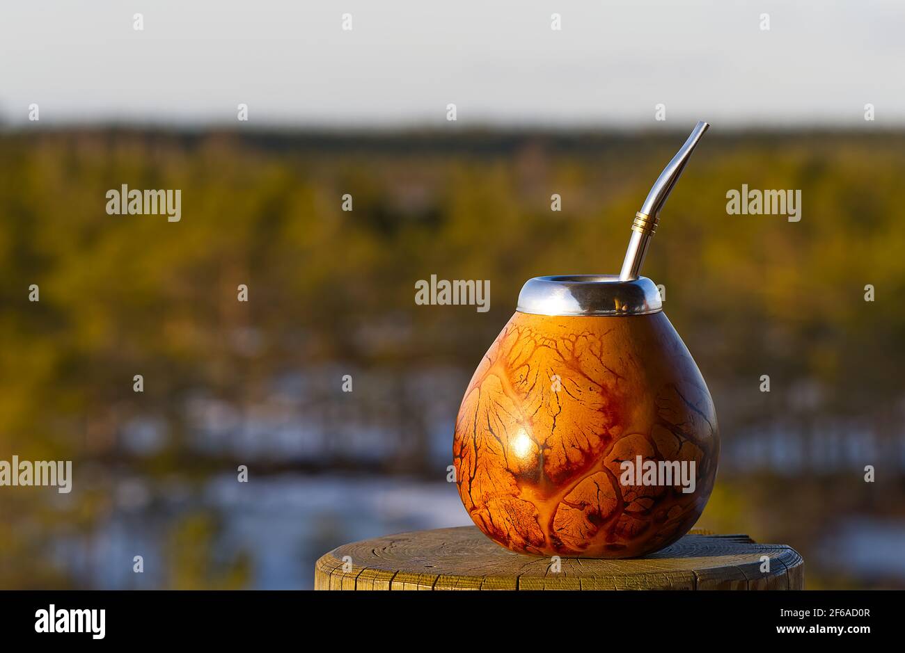 Mate Tea bevendo nella torre di osservazione della palude nel primavera con una splendida vista sulla natura Foto Stock