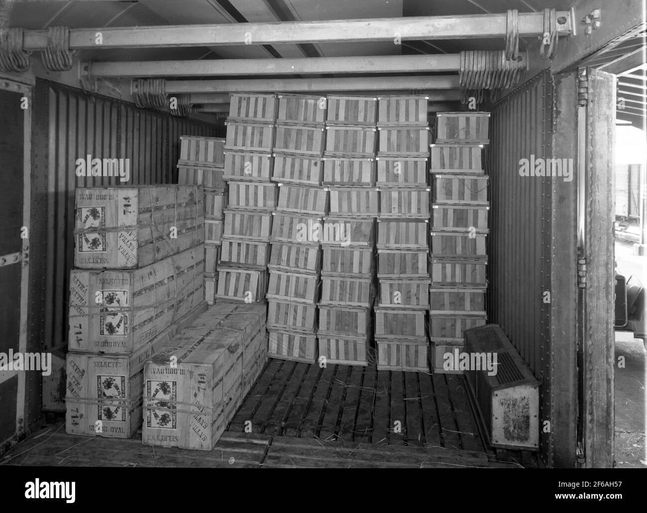 Le ferrovie dello stato, SJ Cooler, con arance e banane in scatole Foto Stock